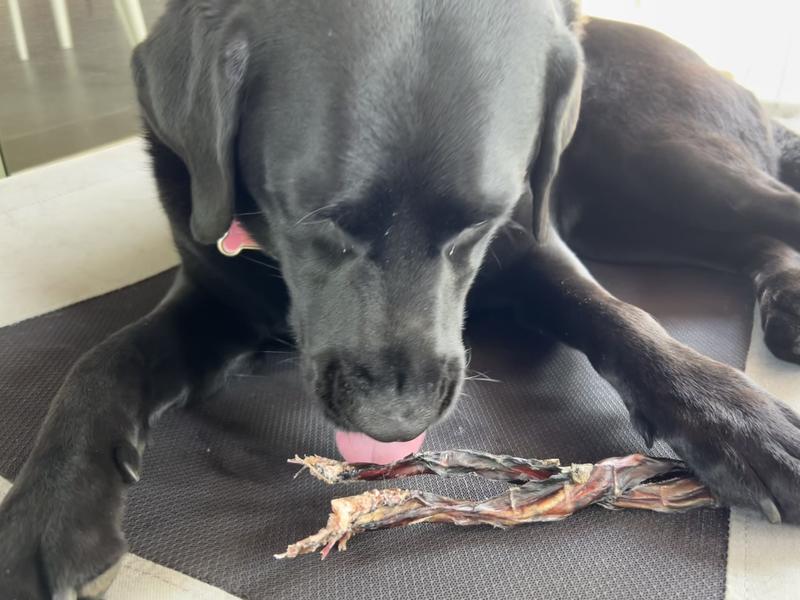 They did untwist, but I think it slowed her down.