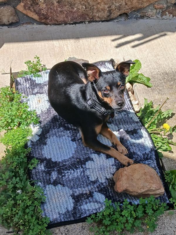 Healthy and more happy