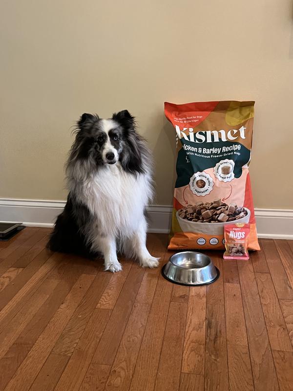 I love Kismet and Nugs!