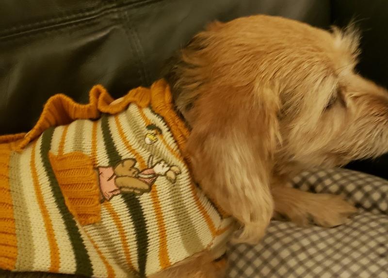 Winnie the store pooh dog sweater