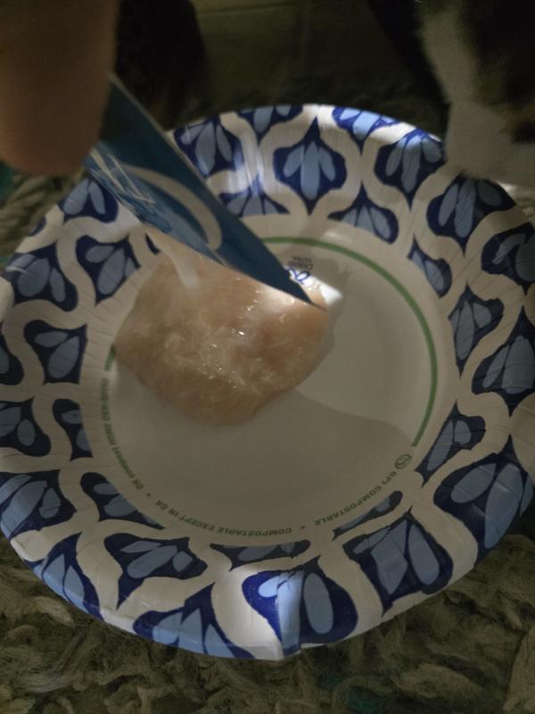 Lots of juicy gravy and shredded meat