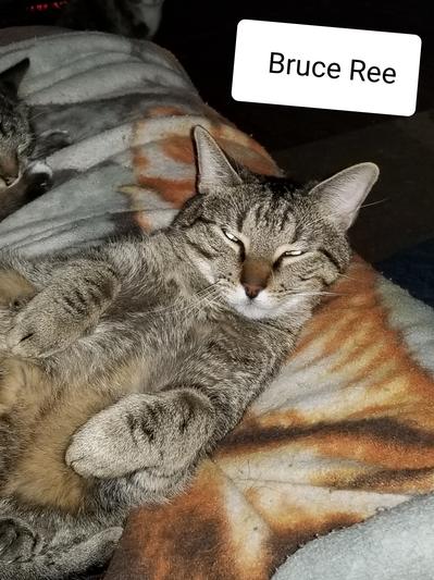 Bruce Ree my biggest baby