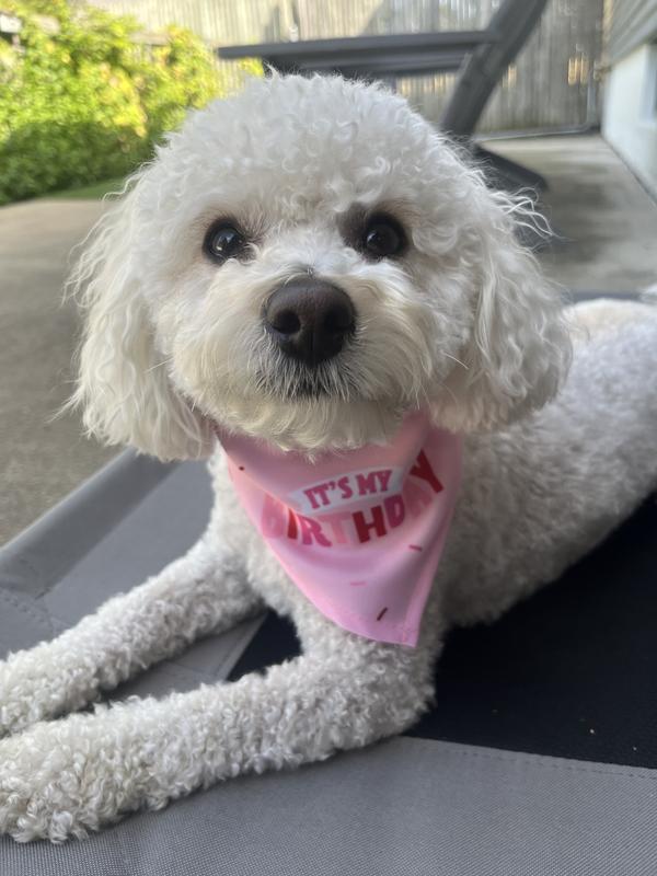 HBD Reina
