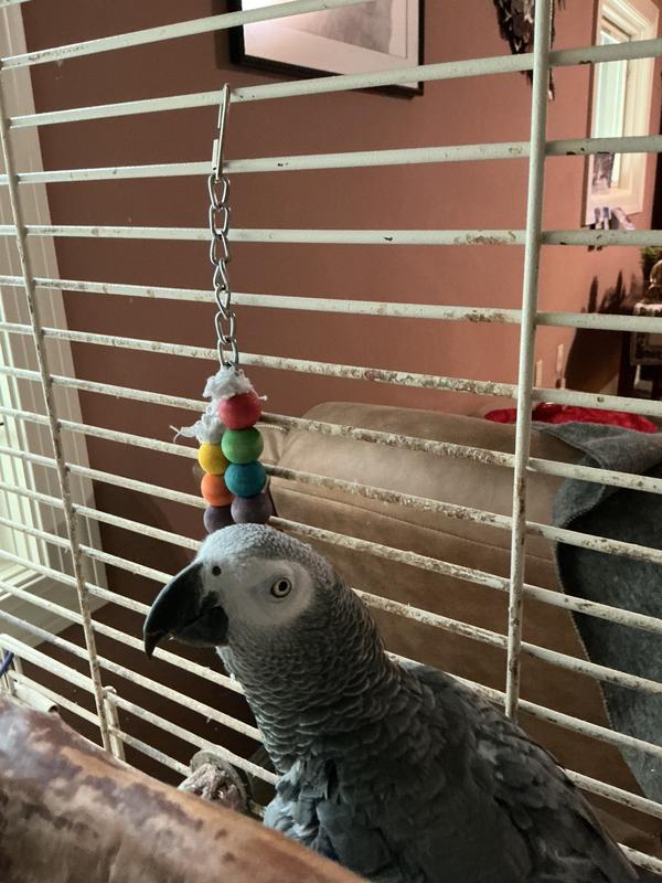 Toy remnant and guilty party