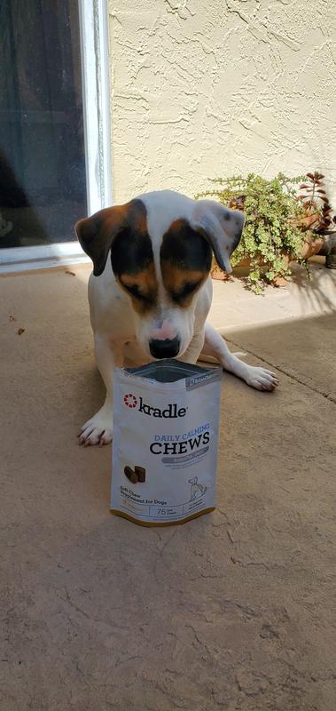 Finnegan inhaling a good wiff