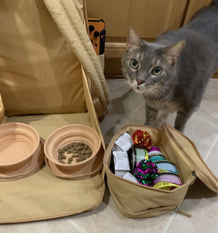 Cat Approved!