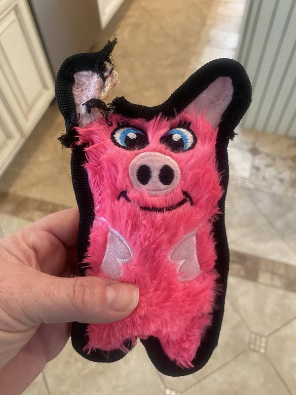 Outward Hound Durablez Tough Plush Squeaky Dog Toy, Pig, Pink, XS