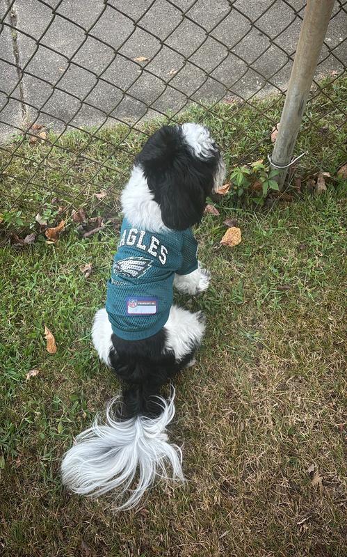 Frankie B representing The Eagles 🦅