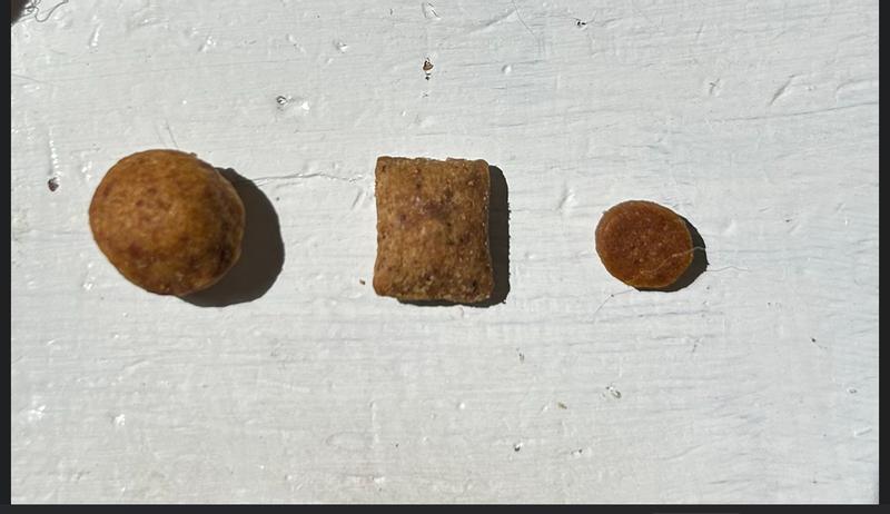 The size