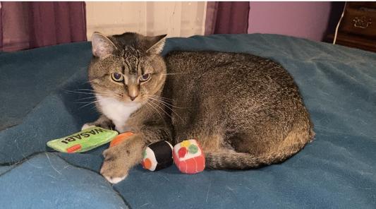 Guarding all 4 pieces of her sushi