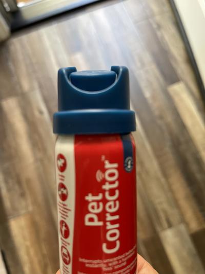 Pet corrector clearance petco