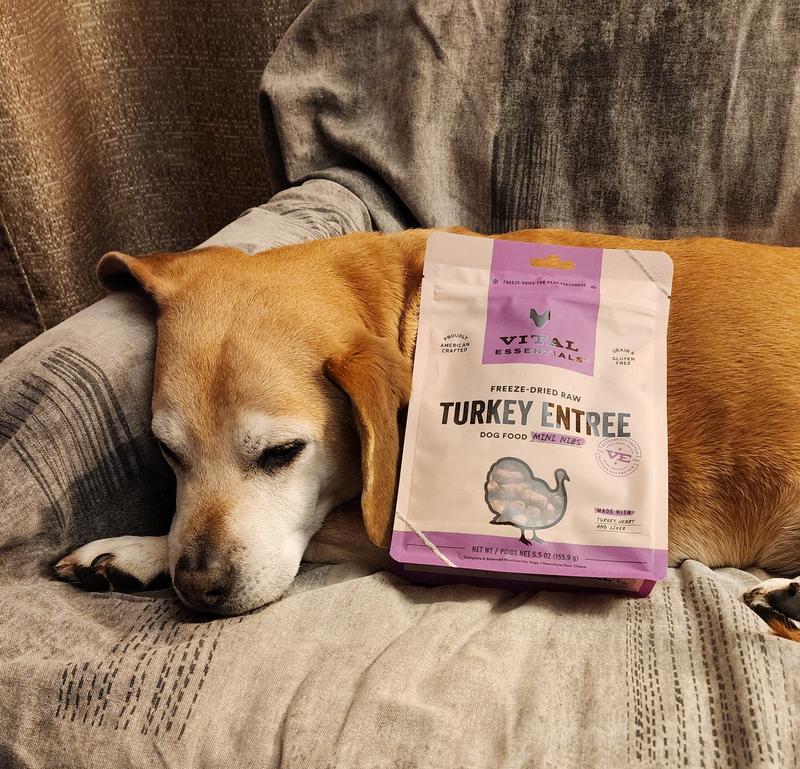 Older, wiser and wants her Vital Essentials.