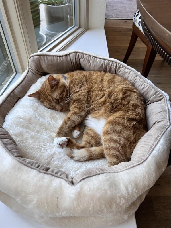 Oh so cozy