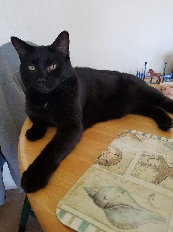 Jake as my "coffee buddy."