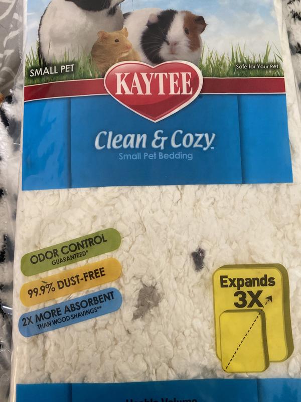 Kaytee clean outlet and cozy review