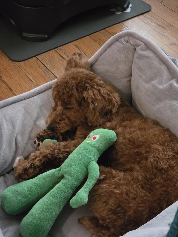 Full Belly Sleepy Time