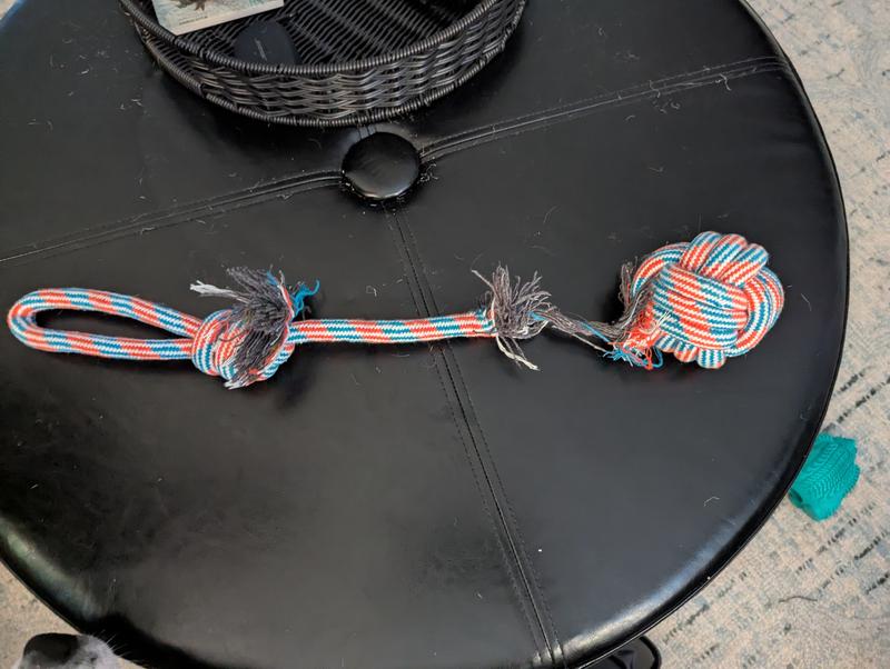 Within a couple hours