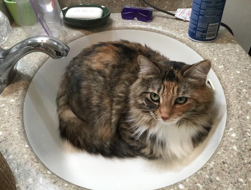 Miss Grace is a cool kat!