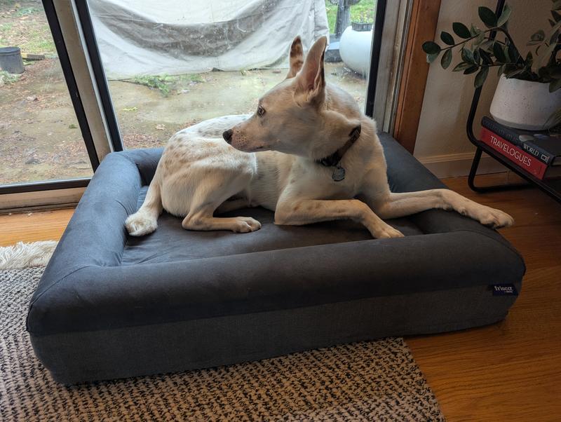 Frisco Faux Suede Orthopedic Bolster Cat & Dog Bed with Removable Cover