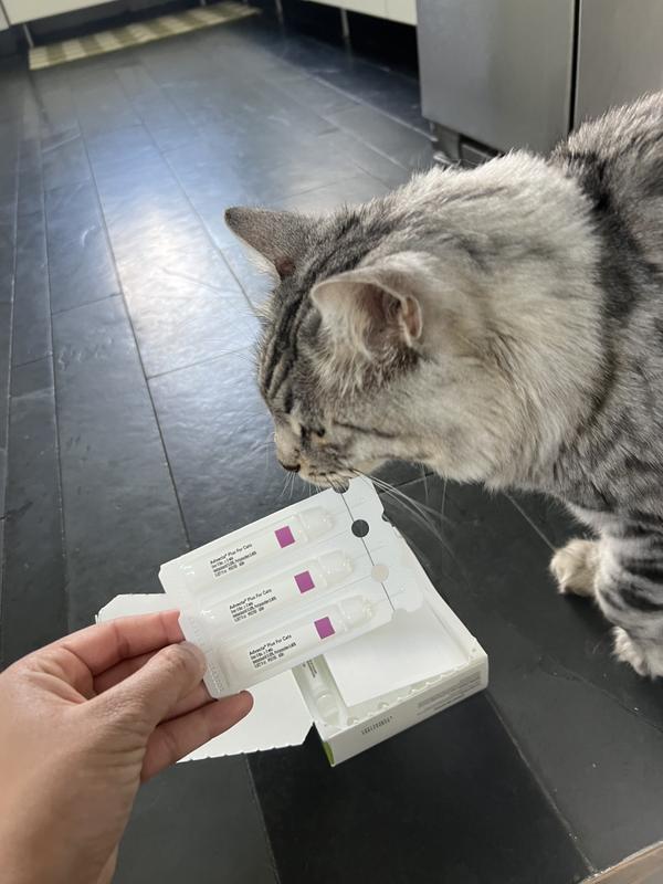 Nice and easy tear apart pack with labels for each dose so you don’t get mixed up.
