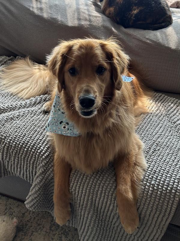 All cleaned up and ready to go!