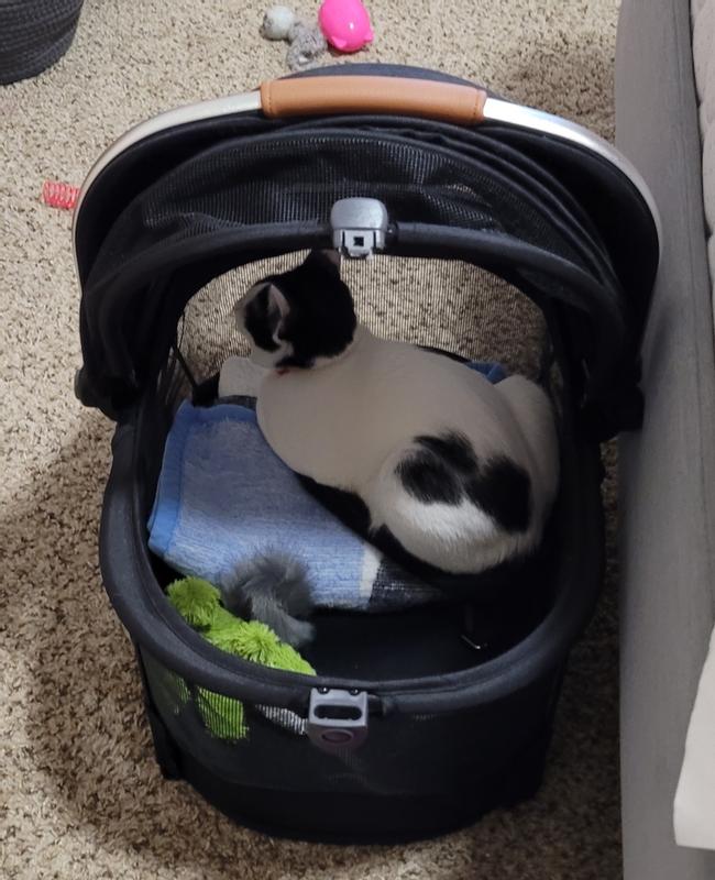 PET GEAR VIEW 360 Dog & Cat Carrier Bag, Floral