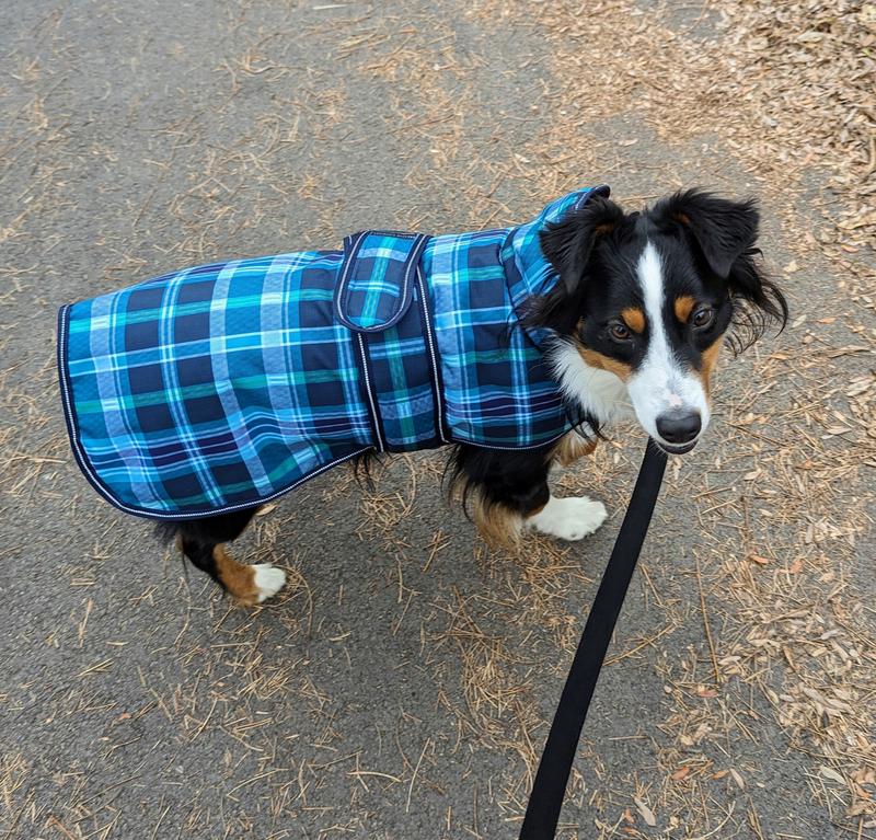 Petrageous designs 2024 kodiak dog coat