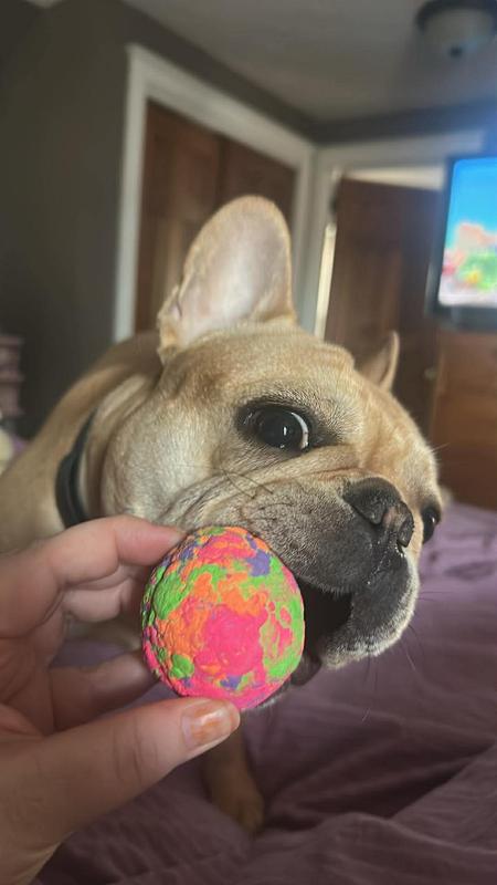 Ball is life!!