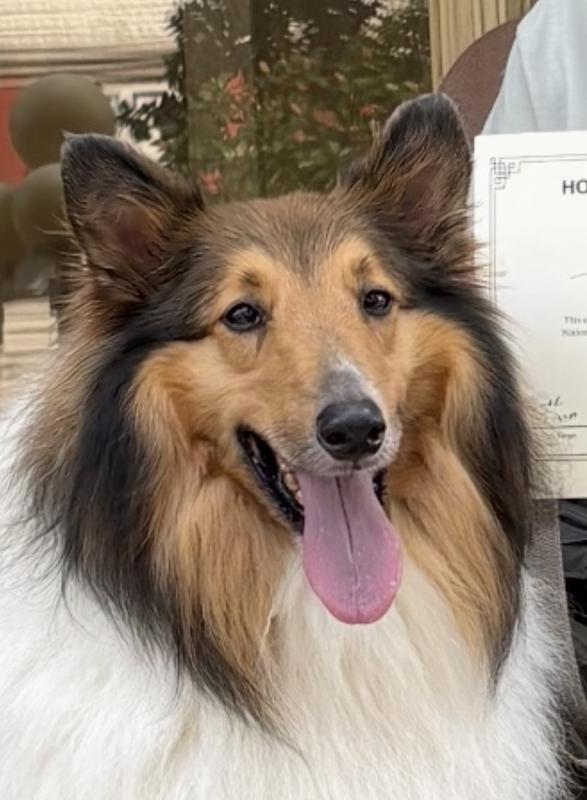 My best friend a Dakota ❤️