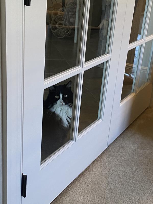 Checking to see if Mom’s zoom meeting is about over!