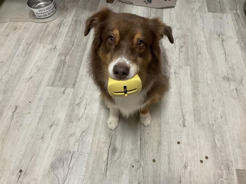 A few bits fell out at first, which helped him understand the toy