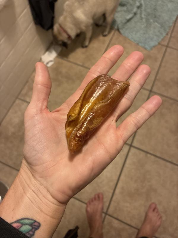 Beware My Moms Dog choked