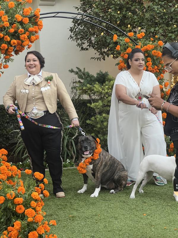 Look at Mollys silly smile. Her face is best described as worried normally.