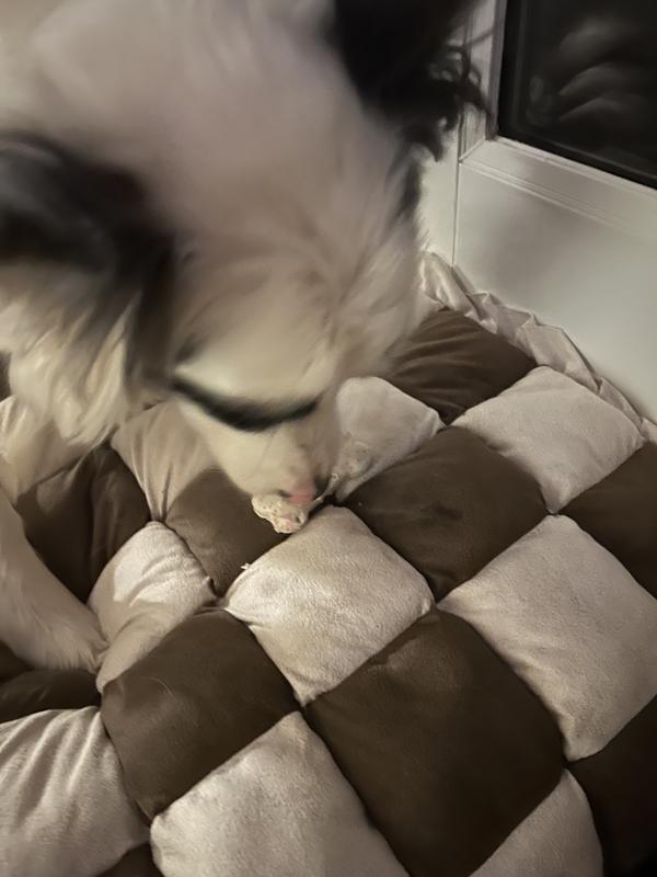 Not much time to take a photo, they were gobbled up so fast.