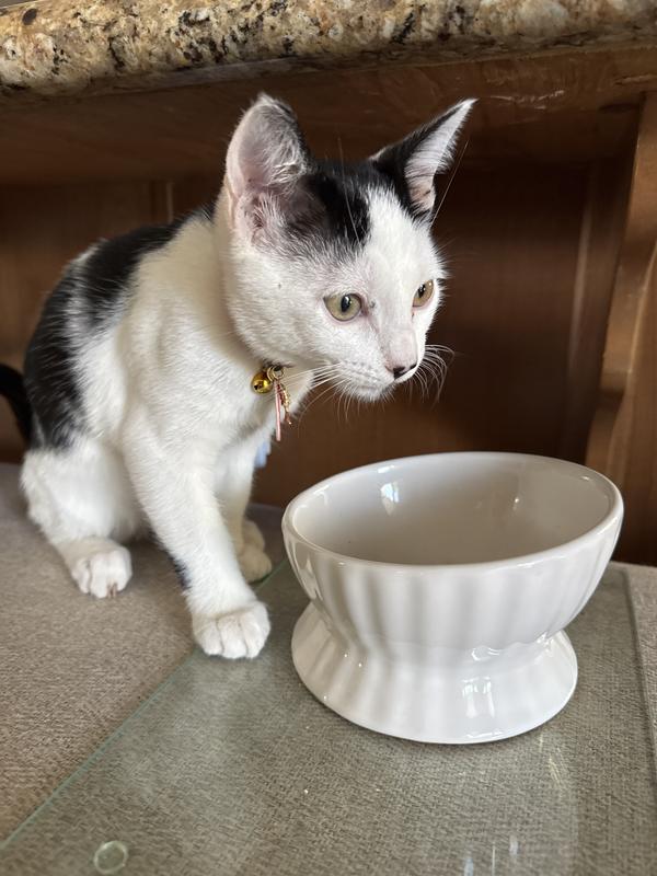 Yum! It’s dinner time!