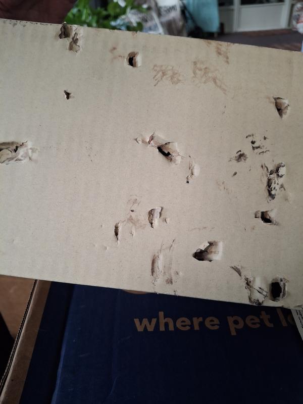 Holes from the driftwood in the catfood boxes