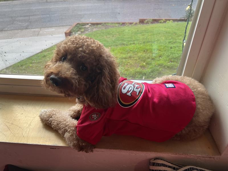 Cute and true to size