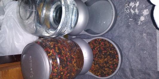 Mixed with taste of the wild and their previous food Purina Healthy Morsels