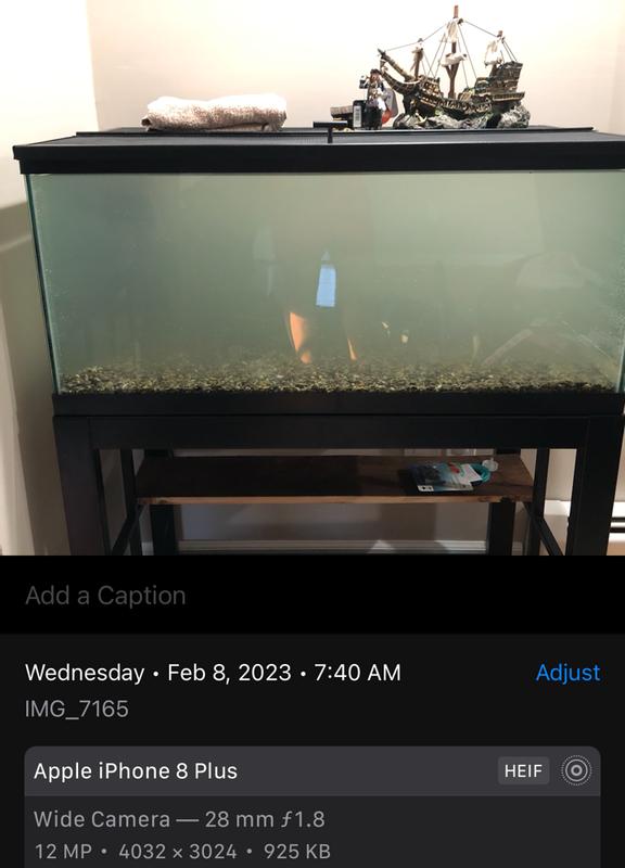 ACTIVFLORA Planted Aquarium Substrate, Lake Gems, 20lb bag