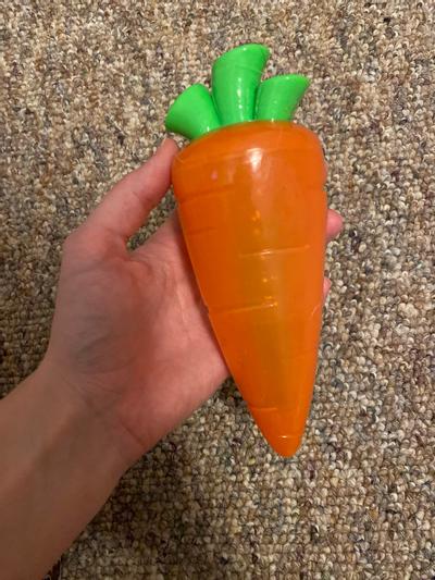 29 Carrot – Petlou, Inc.