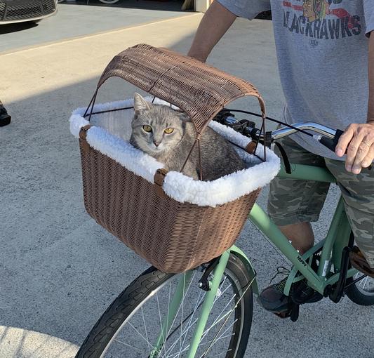 Cat bike basket online