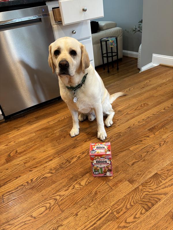 Teddy and his Churus!