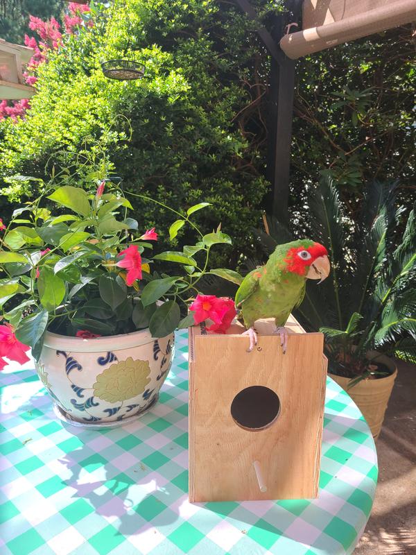 Pete is checking out the box