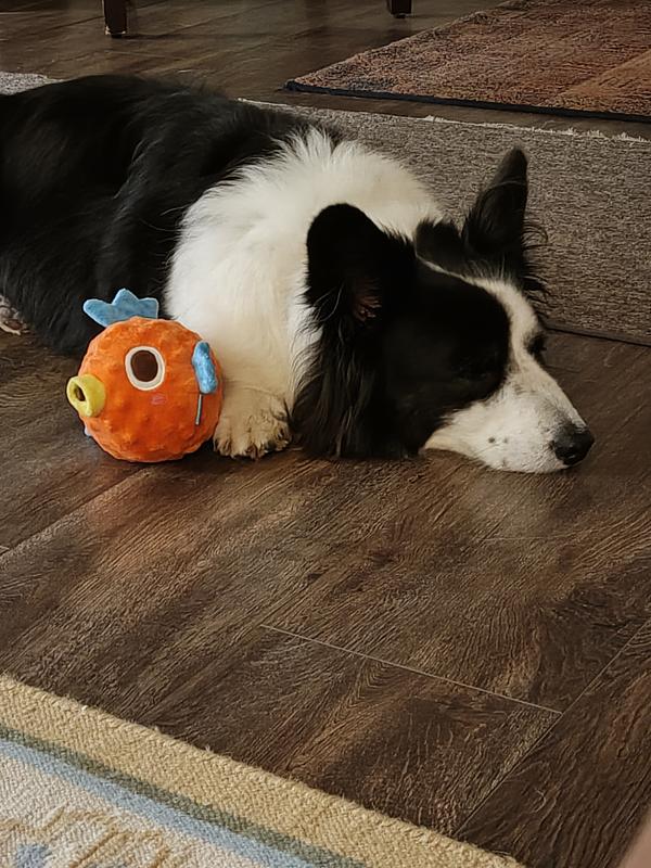 Snoozing with his Puffer toy