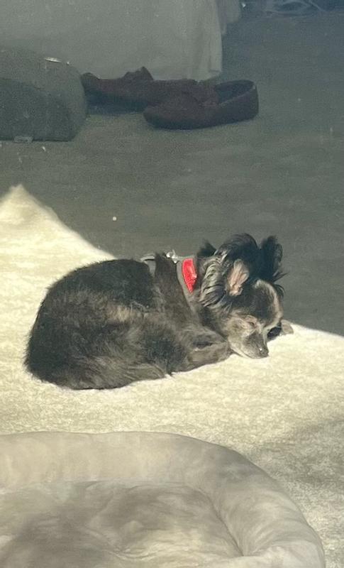 Full tummy crash after eating.