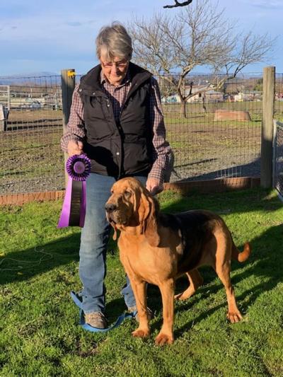 Lacey just earned AKC Farm Dog Title