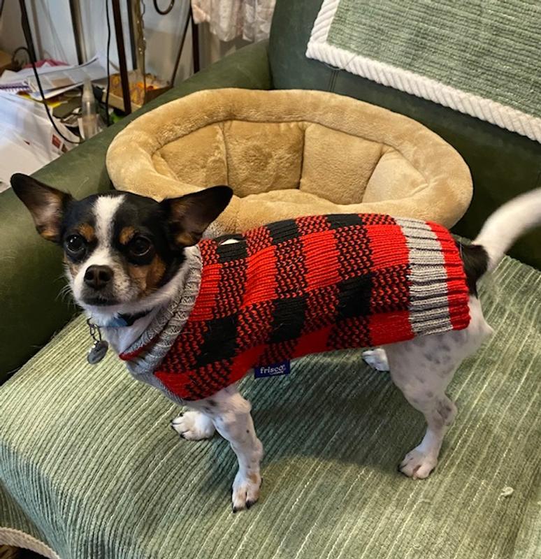 Fleece Buffalo Plaid Dog Dress Flannel Dog Shirt 4-Piece Buffalo