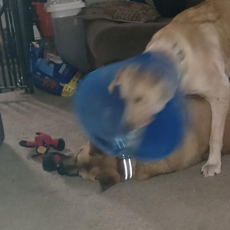 One is good. Two is better.