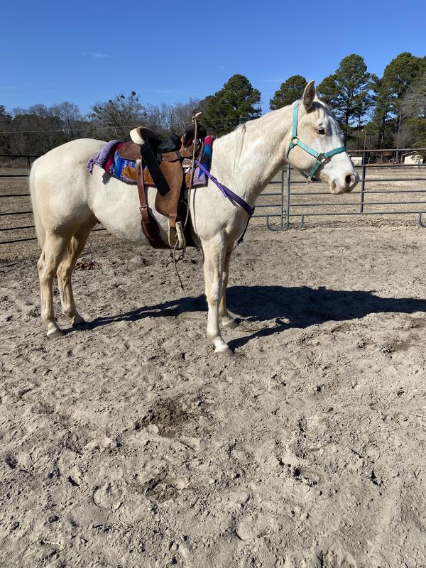 This stuff is easy to feed and horses like it