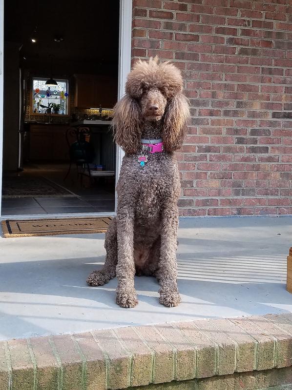Our Coco